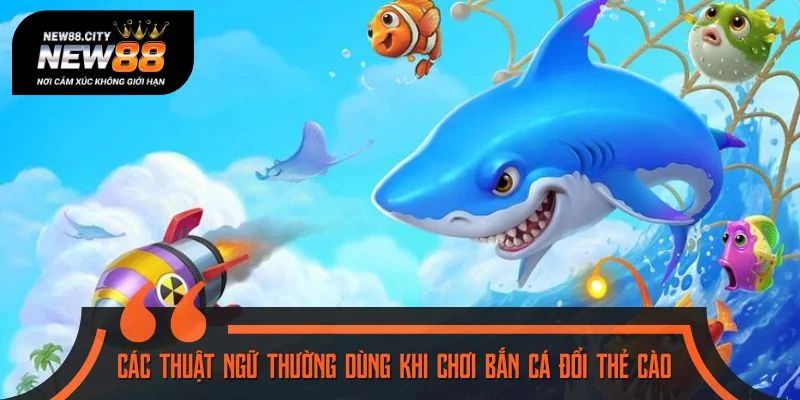 Các thuật ngữ thường dùng khi chơi bắn cá đổi thẻ cào