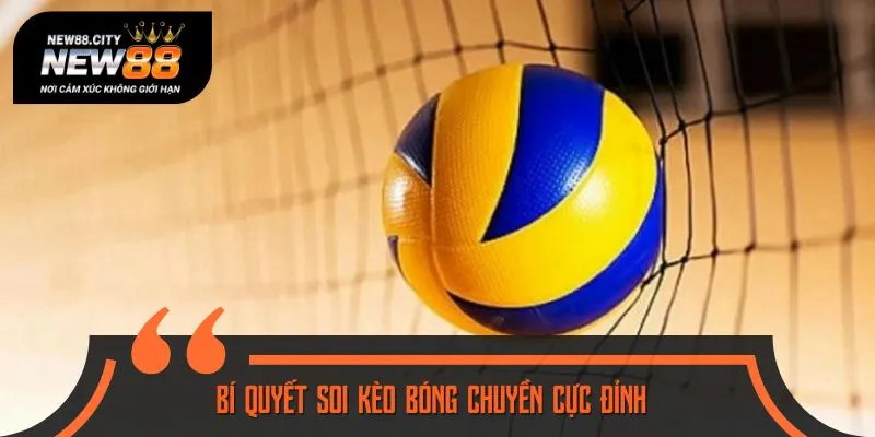 Kinh nghiệm soi kèo cá cược bóng chuyền bất bại