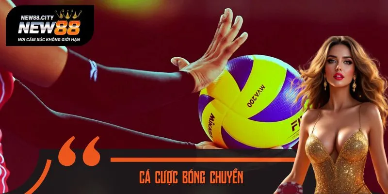 Cá Cược Bóng Chuyền Tại NEW88 – Kèo Hot, Odds Cực Ngon