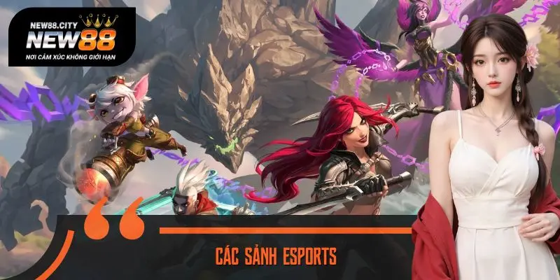 Bùng Nổ Cùng Các Sảnh Esports, Kèo Siêu Ngon Tại NEW88
