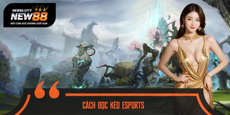 Cách Đọc Kèo Esports Chính Xác Cho Người Mới Và Cao Thủ