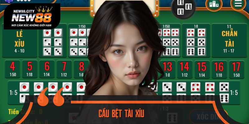 Tuyệt Chiêu Bắt Cầu Bệt Tài Xỉu Chuẩn Xác Nhất 2025