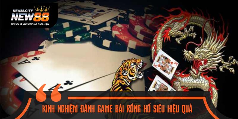Chiến lược đánh bài rồng hổ dễ bao thắng cho tân binh
