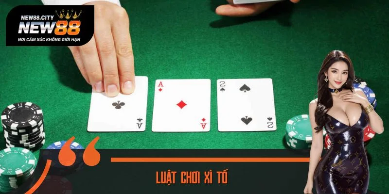 Luật Chơi Xì Tố - Chỉ Dẫn Cho Tân Thủ Tự Tin Nhập Cuộc