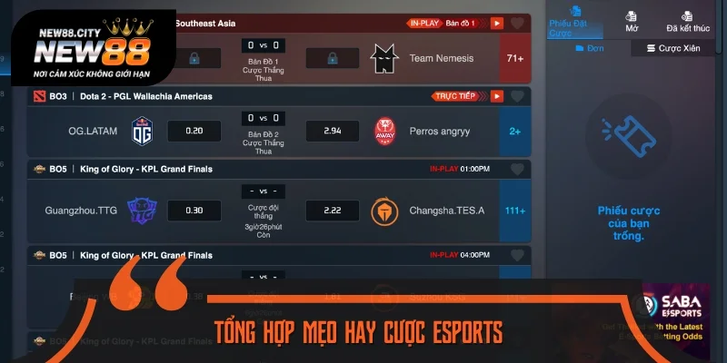 Tổng hợp mẹo hay cược esports cực hiệu quả