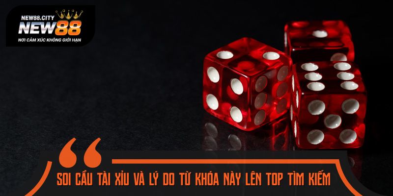 Giải mã độ “hot” của từ khóa soi cầu tài xỉu trên bảng xếp hạng tìm kiếm