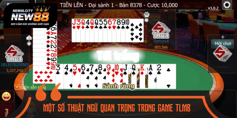 Ghi nhớ thuật ngữ khi vào ván TLMB